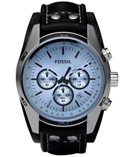 CH2564 Fossil Grant CH2564
