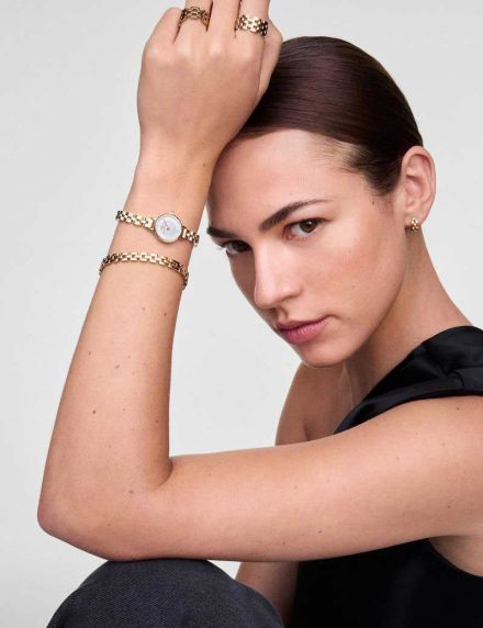 Daniel Wellington Petite Mini 3-Link DW00100855